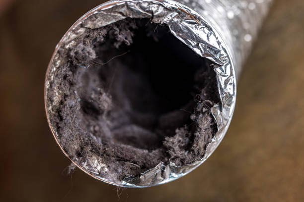 Best Professional Duct Cleaning Services  in Lealman, FL
